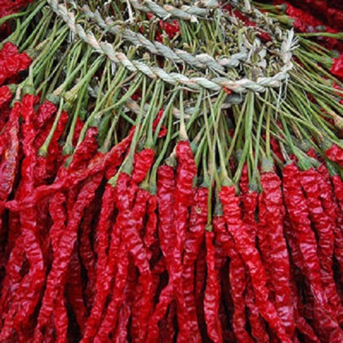 1578023533238168.jpg 15776971069731981.jpg